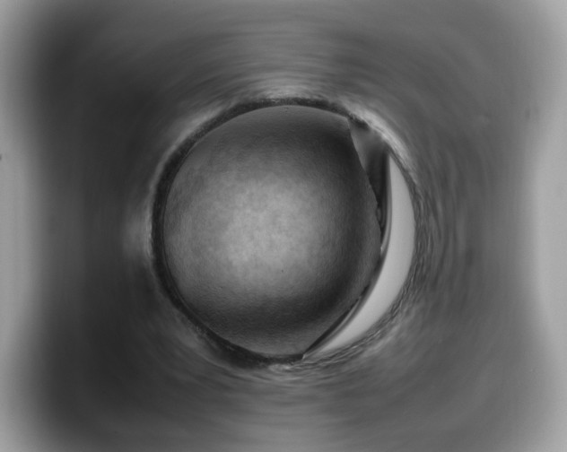 X0000099980391200805301358