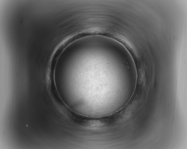 X0000099980392200805301358