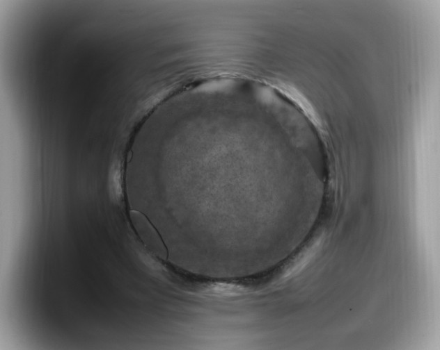 X0000099980393200805301357