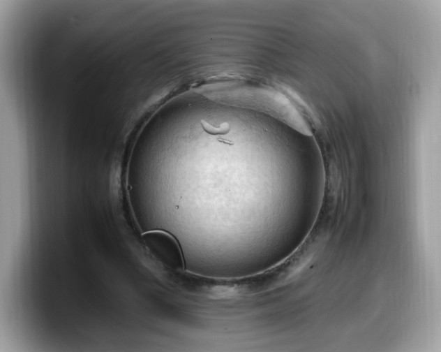 X0000099980394200805301357