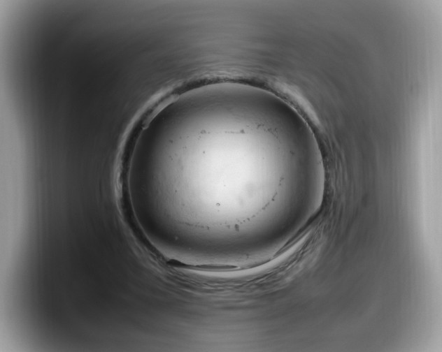 X0000099980395200805301357