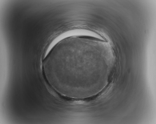 X0000099980397200805301357