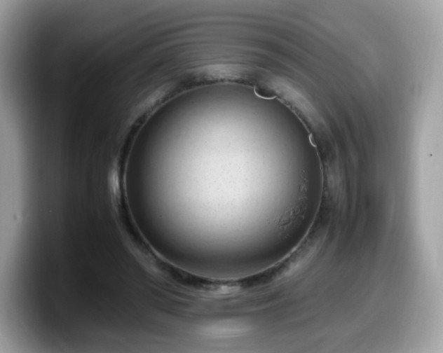 X0000099980398200805301357