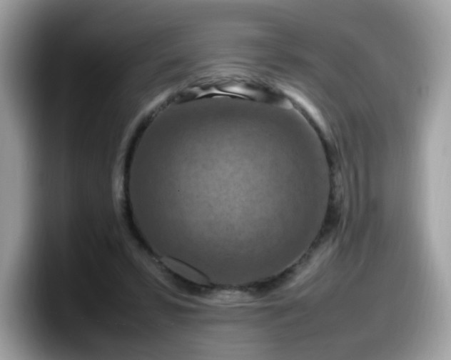 X0000099980399200805301357