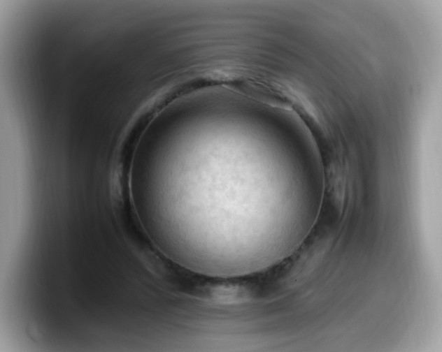 X0000099980400200805301357