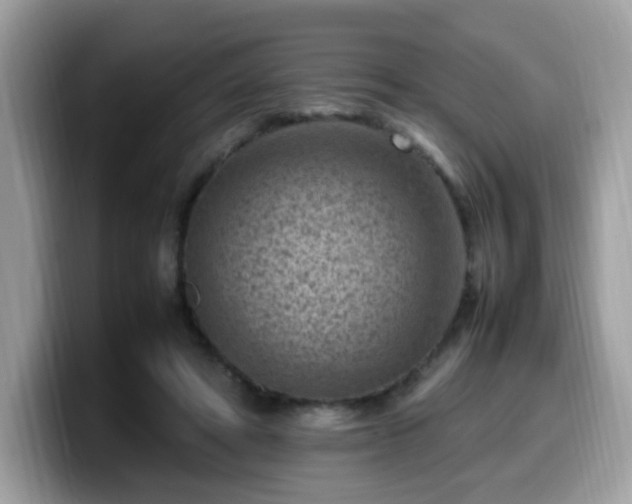 X0000099980402200805301357