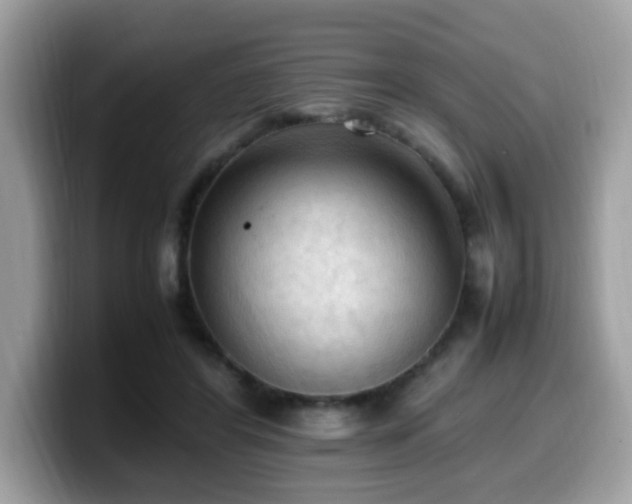 X0000099980404200805301357