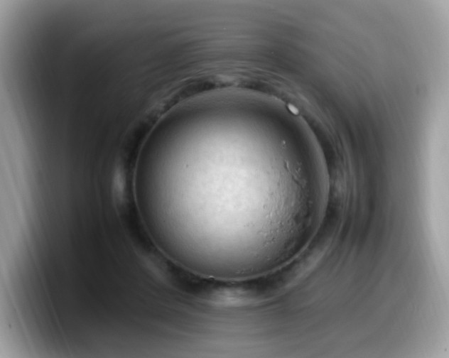 X0000099980408200805301357