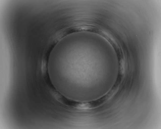 X0000099980410200805301357