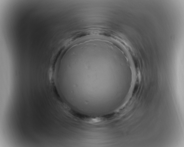 X0000099980411200805301357