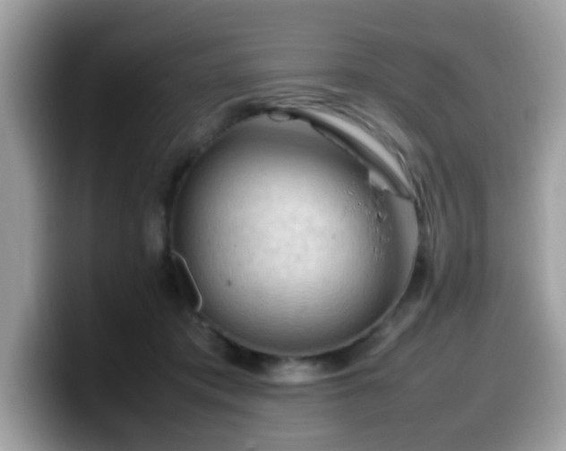 X0000099980413200805301357