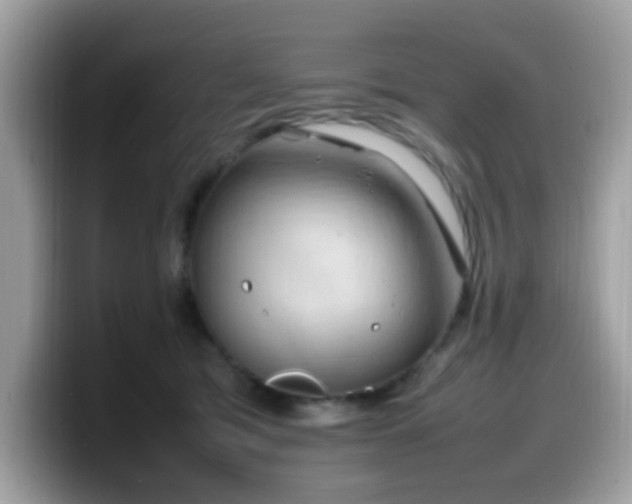 X0000099980417200805301357