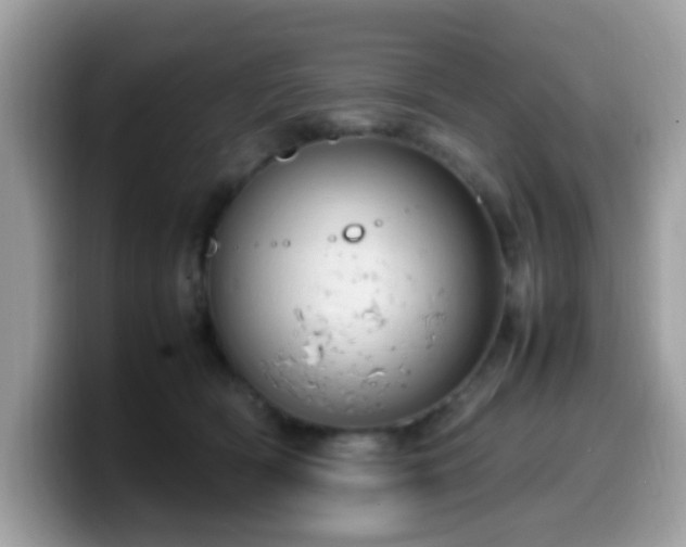 X0000099980418200805301357