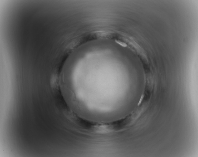 X0000099980419200805301357