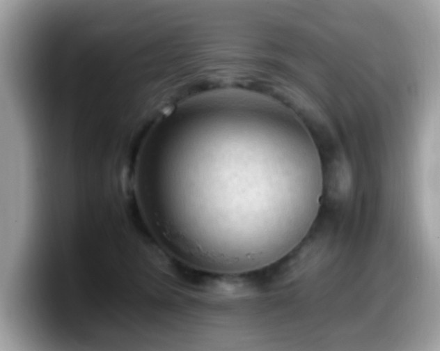 X0000099980420200805301357