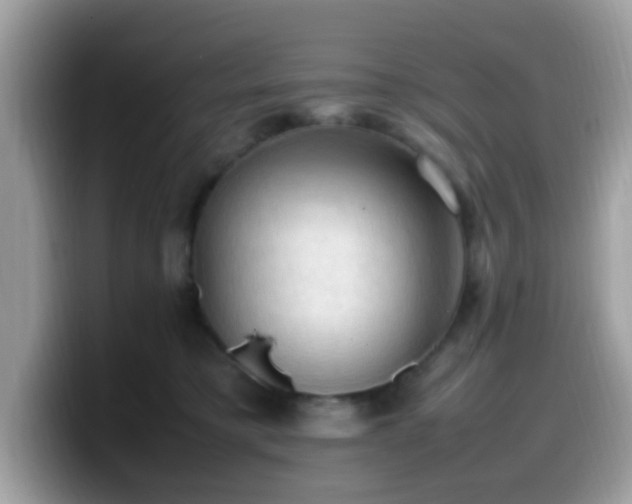 X0000099980421200805301357