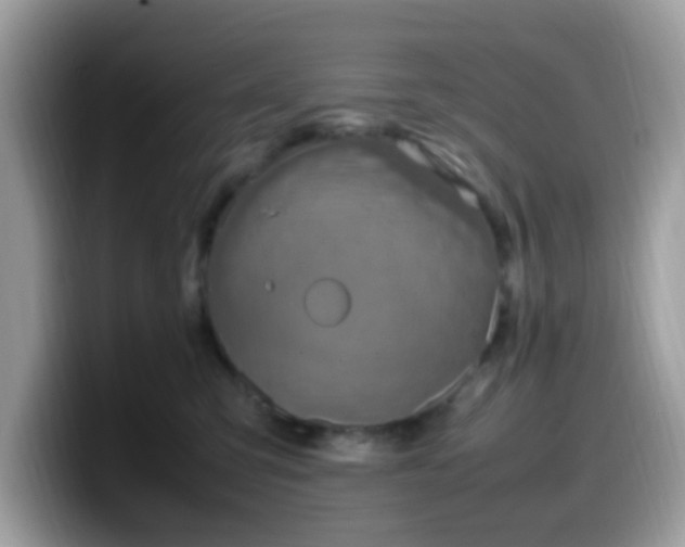 X0000099980423200805301357