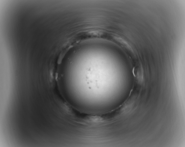 X0000099980424200805301357