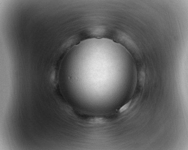 X0000099980428200805301357