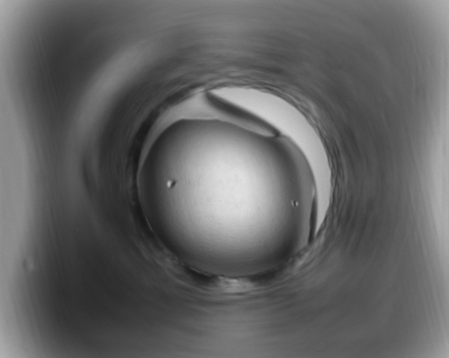 X0000099980429200805301357