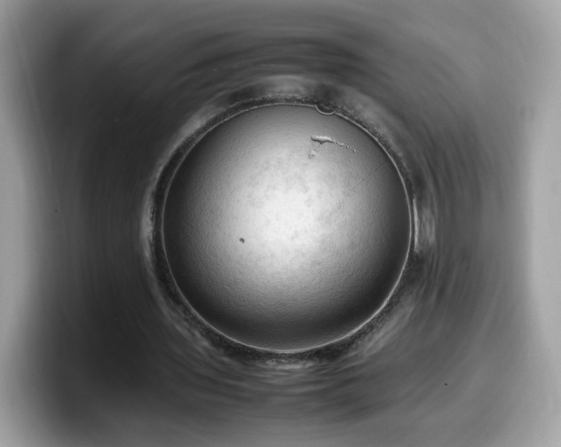 X0000099980435200805301356