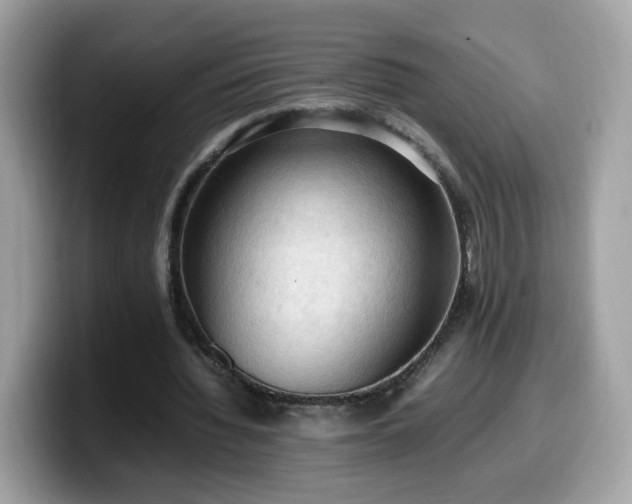 X0000099980436200805301357