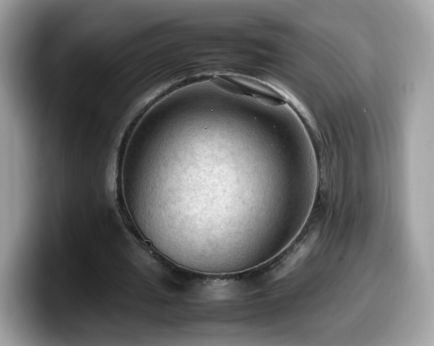 X0000099980437200805301357