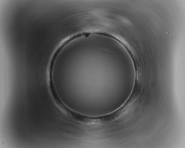 X0000099980438200805301357