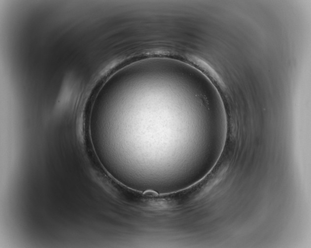 X0000099980439200805301357