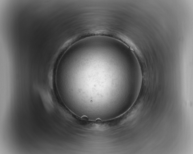 X0000099980442200805301357