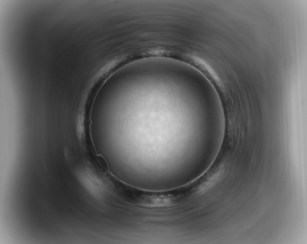 X0000099980443200805301357