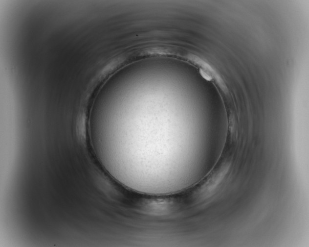 X0000099980445200805301357