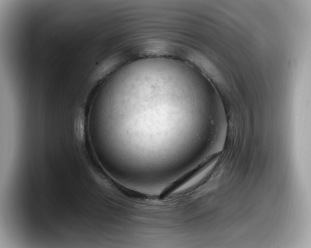 X0000099980446200805301357