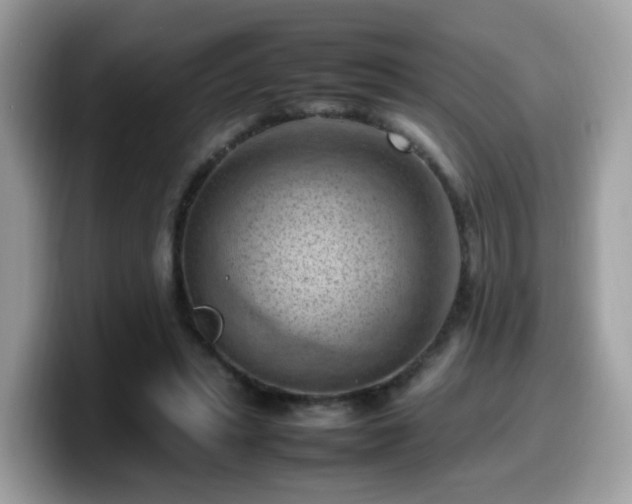 X0000099980447200805301357