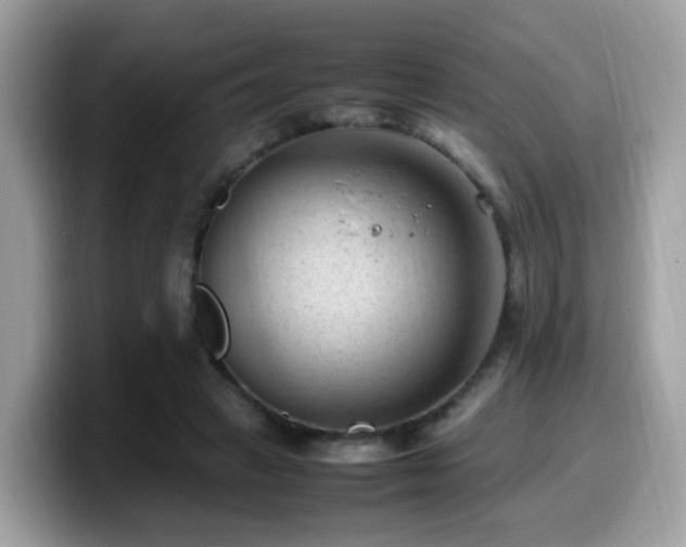 X0000099980449200805301357