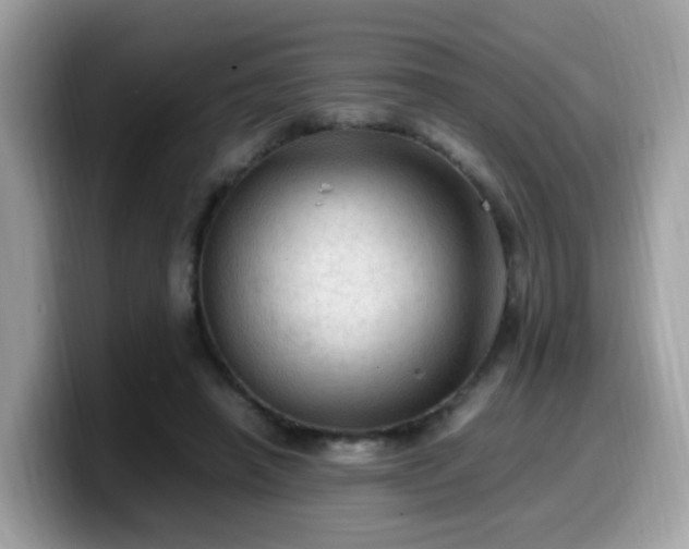 X0000099980450200805301357