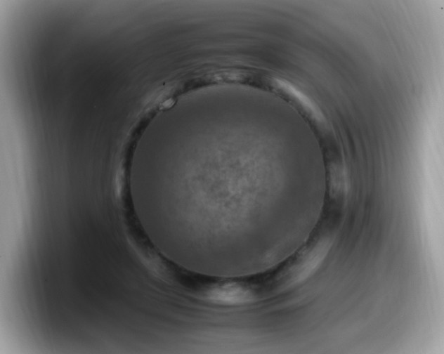 X0000099980451200805301357