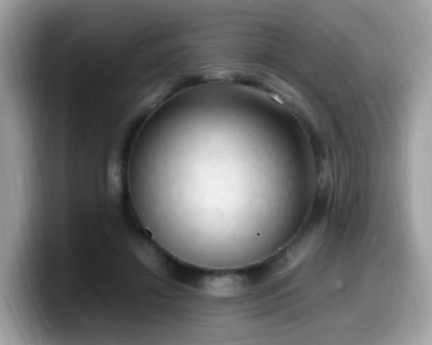 X0000099980452200805301357