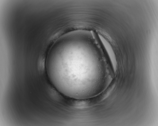 X0000099980454200805301357