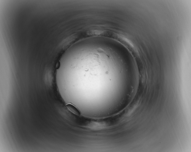 X0000099980455200805301357