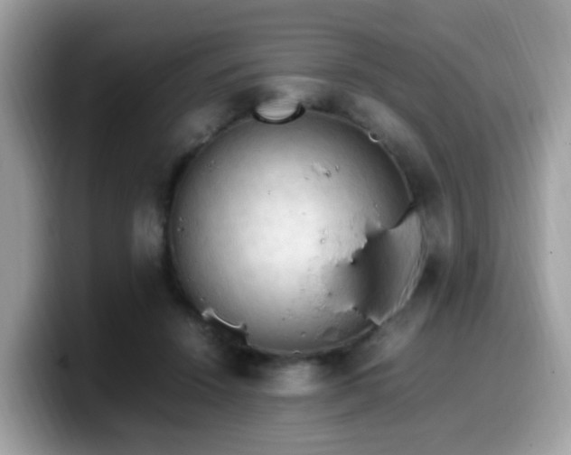 X0000099980456200805301357