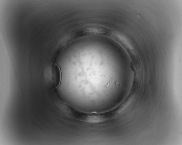 X0000099980457200805301357