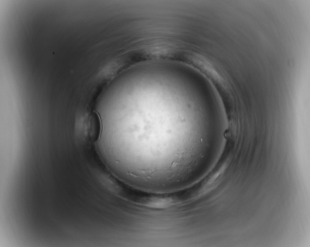 X0000099980458200805301357