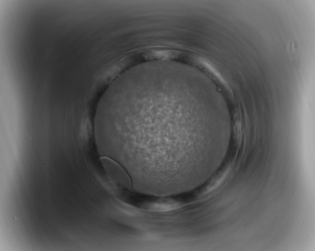 X0000099980459200805301357