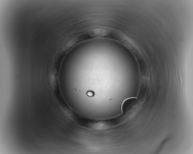 X0000099980460200805301357