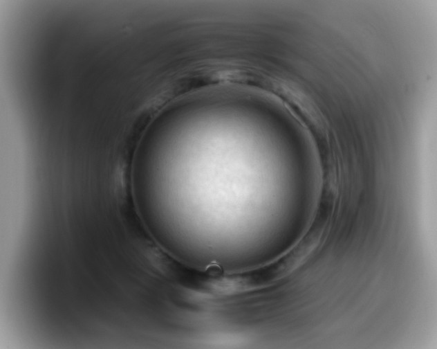 X0000099980461200805301357