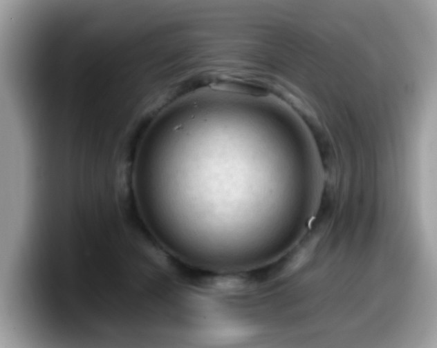 X0000099980462200805301357