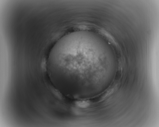 X0000099980465200805301357