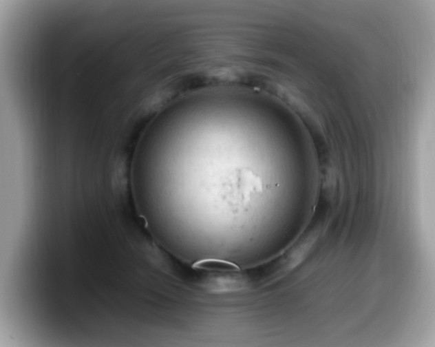 X0000099980466200805301357