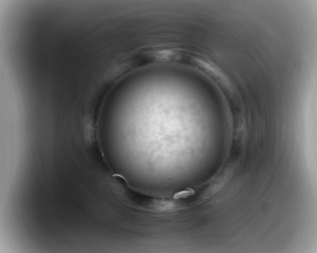 X0000099980469200805301357